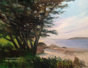  Carmel Bay Cypress miniature original oil painting artwork for sale