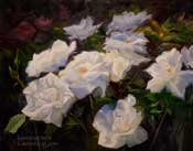 Huntington Roses - Class Act Floribunda flowers 16 x 20