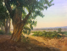 Morro Bay eucalyptus tree Central Coast painting
