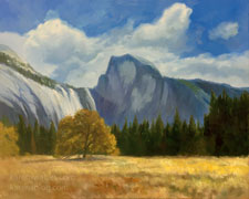Yosemite Morning Meadow with Half Dome 16 x 20 oil painting