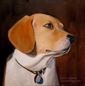 Beagle pet portrait commission