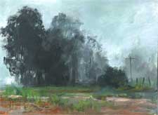 California eucalyptus in th in the rain and fog oil painting