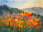 California Poppy Parade - 6 x 8 inch wildflower california poppy oil painting
