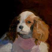 Cavalier King Charles Spaniel Puppy Portrait by Karen Winters