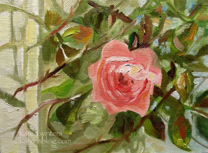 climbing pink rose huntington gardens oil painting 5 x 7 inches