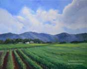 Edna Valley Vineyard oil painting