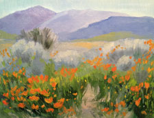 Dreaming in Poppy Land Lancaster California poppy reserve oil painting