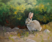 Hello Little Cottontail Rabbit Bunny oil painting