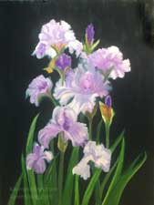 Standing Tall Lavender orchid and white iris bouquet botanical