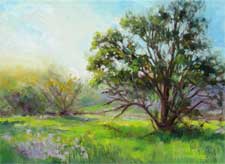 Oak tree in meadow California impressionist oil painting