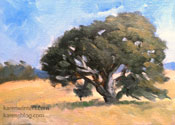 Oak Tree Study oil painting