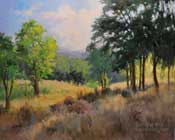 The Sheltering Grove Paso Robles Central Coast California oil painting landscape by Karen Winters