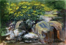 Anza Borrego wildflowers medley oil painting