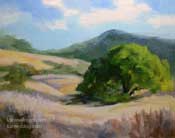 Summertime oak tree landscape golden rolling hills California oil painting