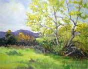 Newbury Park sycamore tree oil painting Santa Monica Mountains California impressionist landscape Karen Winters