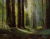 The Light in the Forest - California Redwoods Forest Grove Landscape Oil Painting