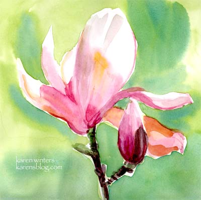 Tulip Magnolia watercolor painting