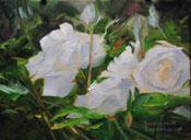 White Roses Impressionist Oil Painting Miniature 6 x 8 study