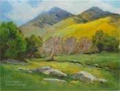 California wildflower hills oil painting sold